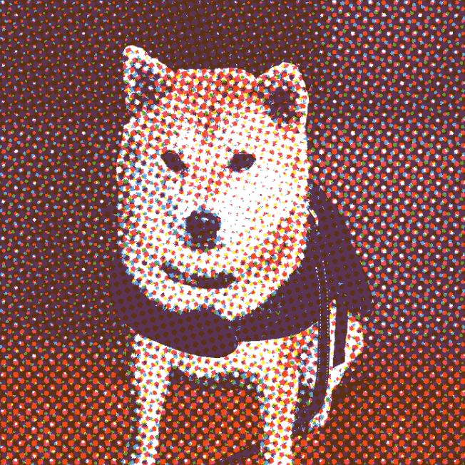 Mece the Cave Canem dog at home